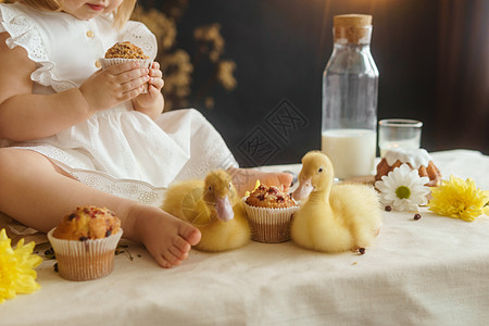 复活节桌上可爱的毛茸茸的小鸭子 旁边是一个小女孩 上面放着鹌鹑蛋和复活节纸杯蛋糕 复活节快乐的概念婴儿鹌鹑友谊幸福孩子情感传统农图片