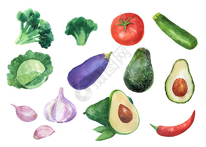 白色背景上的脱落水彩色蔬菜 食品设计绘画说明 布罗科利 番茄 西红柿 黄瓜 卷心菜和茄子图片