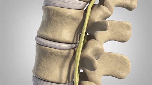 脊髓的磁盘移动状况骨骼肩膀药品光盘疼痛骨赘椎骨保健蓝色图片