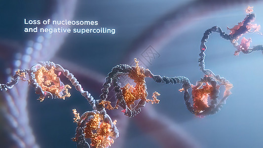 销毁脱DNA细胞图解基因组化学螺旋代码医学基因治疗蓝色技术插图图片