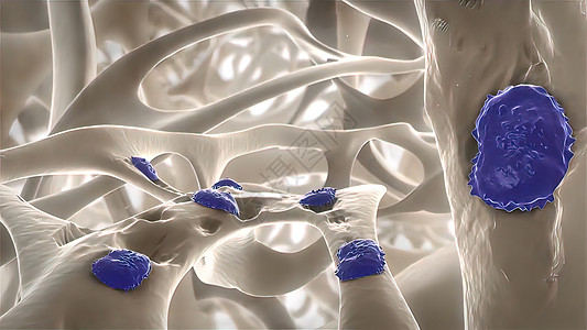 扰乱骨骼结构 风湿性关节炎胶原橙子药品插图微生物学修理生理数字生物学软骨图片
