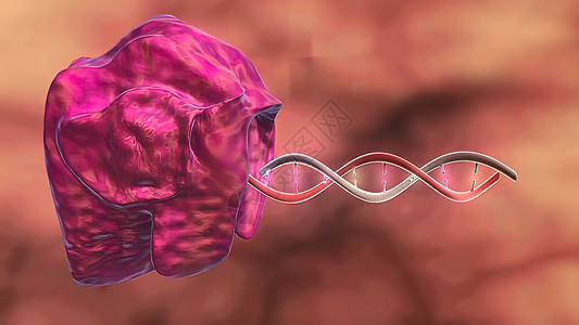 DNA 紊乱 搁浅 科学化学与医学概念遗传细胞生物学生物公式医疗药品染色体克隆疾病图片