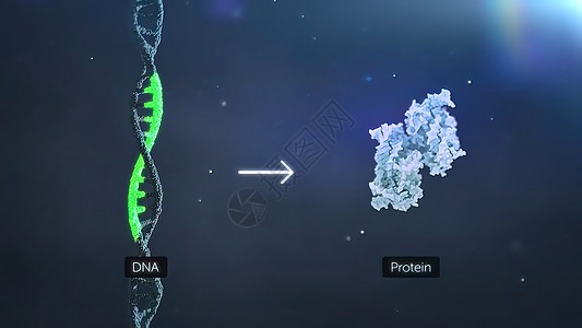 DNA变异 突变是DNA序列的变化 变异3d科学微生物学生物学技术研究治疗遗传学生物插图图片