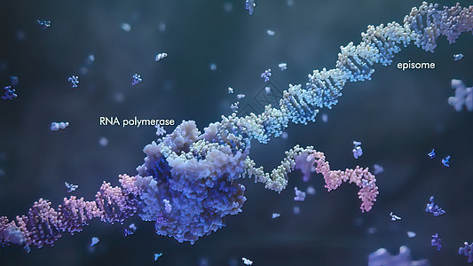 为治疗遗传疾病而开发的方法 Gene疗养院多肽生物学基因组药品生物细菌基因编辑代谢科学背景图片