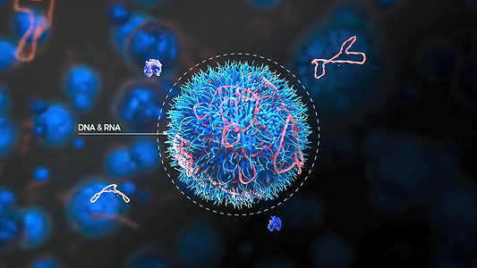 受核素蛋白质攻击的Dnadna技术血管3d插图界面研究分析化学科学图片