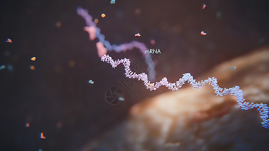 3d 表示单一直线肋膜酸的示例 RNA 研究和治疗工程克隆显示器遗传学屏幕酵素化学插图治愈接口图片