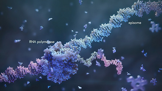 3d 表示单一直线肋膜酸的示例 RNA 研究和治疗基因组健康遗传感染酵素屏幕工程科学实验室核苷酸图片