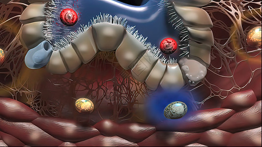 肺部免疫和发光癌症药品配子插图细菌健康基因血管囊胚细胞图片