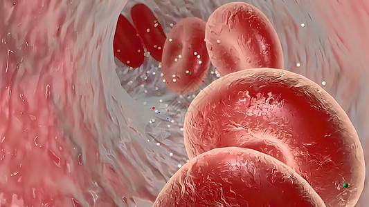 氧气流穿过刺膜高血压胰岛素脂类静脉微生物学动脉细胞毛细管血管宏观图片