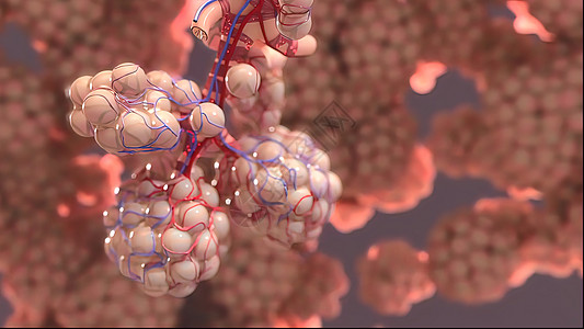 肺部免疫和发光插图生物技术癌症健康显微镜病原细菌疾病基因图片