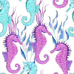 水彩手绘无缝图案与水下海洋航海动物贝壳鱼 紫蓝色海马海藻水母 海洋暑假海滩背景 绿松石织物印花紫色卡片贝类插图热带绘画支撑海浪藻图片