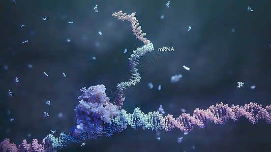 3d 表示单一直线肋膜酸的示例 RNA 研究和治疗监视器科学警报化学健康核苷酸屏幕顺序基因克隆图片