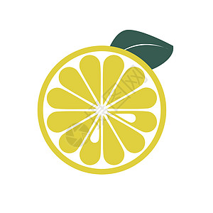 手画柠檬矢量插图 孤立于白色背景图片