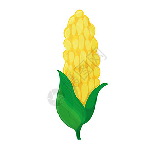 白色背景的玉米矢量 可爱的卡通图像 收获的概念图片