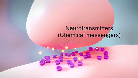 神经传送器是体内的化学送信员生物学药品冲动科学网络背景树突信号黑色细胞图片