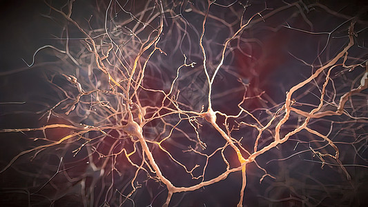 大脑的中微信号头脑细胞生物药品神经元网络辉光传递宏观科学背景图片