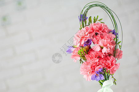 粉红色喷雾康乃馨和白背景自由的美丽配方 与白背景隔绝植物花瓣植物群礼物作品惊喜庆典花束环境图片