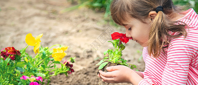 儿童种植花园 有选择的焦点微笑工具生活生态女孩孩子教育横幅园丁女性图片