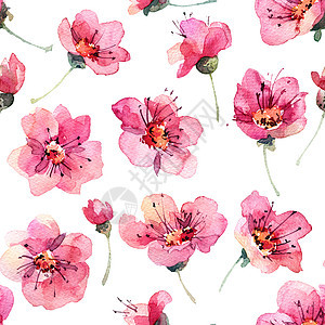 水彩花卉图案季节植物群粉色花朵花瓣插图植物樱花打印手绘图片