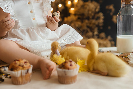 复活节桌上可爱的毛茸茸的小鸭子 旁边是一个小女孩 上面放着鹌鹑蛋和复活节纸杯蛋糕 复活节快乐的概念幸福农场孩子婴儿传统微笑喜悦鹌图片