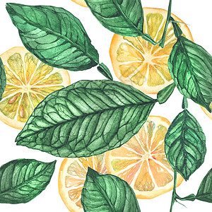 植物性柠檬切片无缝接缝模式图片