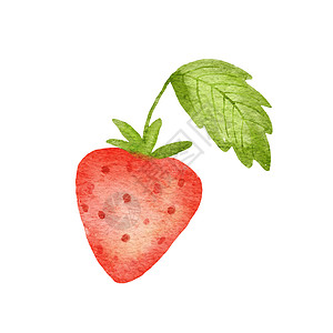 水彩可爱的草莓与绿叶 在白色背景下孤立的夏季浆果的程式化绘图插图图片