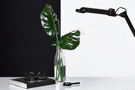 绿色叶子装在瓶子里 有白色和黑色背景的注纸 前视图 复制空间架子桌子照片风格棕榈花瓶作品房子小样潮人图片