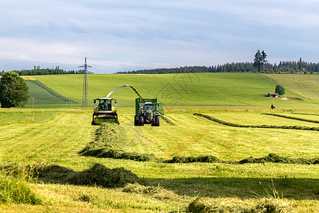 德国莱特基尔奇  6月6日 2022年 联合体将淤泥倒入拖拉机和拖拉机的田间 为冬季准备动物饲料小麦粮食场地菜刀喂养收割机农业农图片