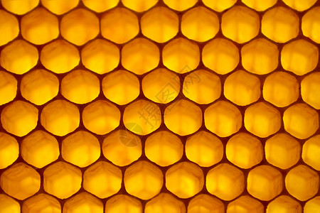 蜂形背景背景蜂蜜养蜂业蜂窝黄色蜂巢细胞图片