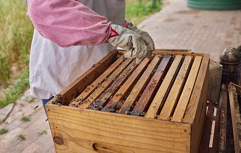 如果你需要理由来跳跃 就尝尝自然蜂蜜的滋味 一只蜜蜂在农场上开一个蜂窝框图片