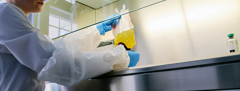 被手套手隔离的胎盘带血库捐赠血液单位 由手套手制备组织学科学低温箱细胞核细胞产妇病理产科怀孕绒毛图片
