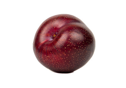 大红羽花园文化蓝色浆果水果胎儿热带紫色食物农业图片