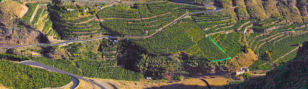 以上是夏季的农业景观 西班牙拉帕尔马洛斯利亚诺斯的一个农场的鸟瞰图 那里有郁郁葱葱的绿草和香蕉种植园 宁静的农田 拥有平静 舒缓背景