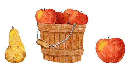 手画水彩色图解篮桶苹果梨 秋天有机丰收农庄小屋艺术 感恩节剪辑图片