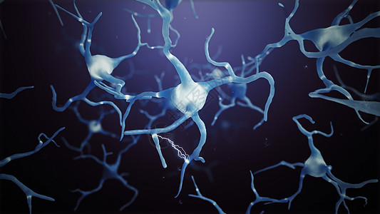 3d 使新细胞连接世界抽象智力垂体生物学生物神经插图内分泌保健器官化学图片