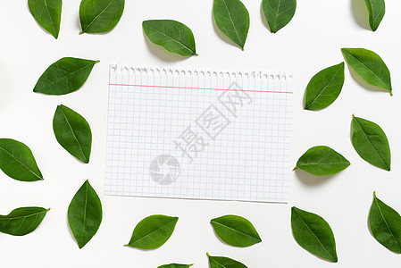 带有格子图案线条的笔记本纸放置在新鲜的叶子之间 用于邀请函和卡片的布局 空白页面周围环绕着创意横幅的树叶图片
