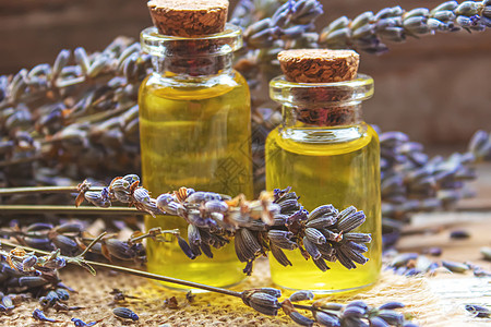 在小瓶子里放淡紫素基本油 选择性的焦点头发植物皮肤输液紫色健康自然香气香水镇静剂图片