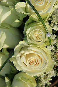 大象牙白玫瑰新娘玫瑰白色婚礼鲜花花束团体花瓣浪漫图片