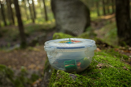 树林中的地球焦土容器背景图片