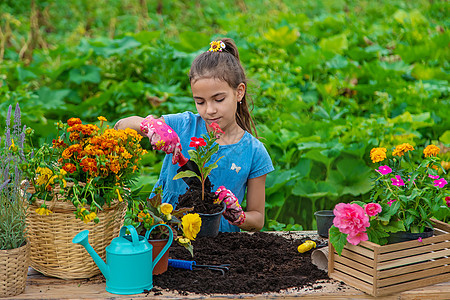 孩子在花园里种花 有选择地集中注意力园艺农场工具园丁女性叶子教育乐趣横幅工作图片