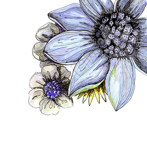 美丽的花卉手绘水彩花束与紫色雏菊和灰色花朵 隔离在白色背景图片