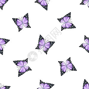 白色上的水彩紫色紫蝴蝶无缝图案背景图片