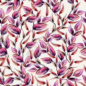 红和紫色叶子 水彩纹理图案 手画插图图片