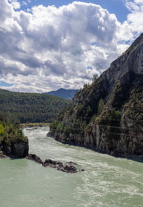 一条迅速流淌的广阔而通畅的山河环境森林岩石天气风景卡通旅行溪流石头假期图片