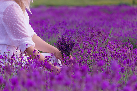 穿白裙子的紫衣花朵的女人 乌克兰温泉紫色蓝色草地旅行女性芳香农村幸福帽子图片