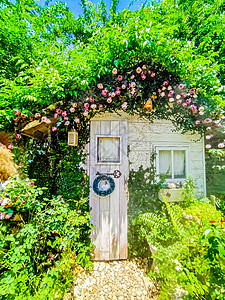 花园小屋 有美丽的花花花花花朵 室内思想自然装饰图片