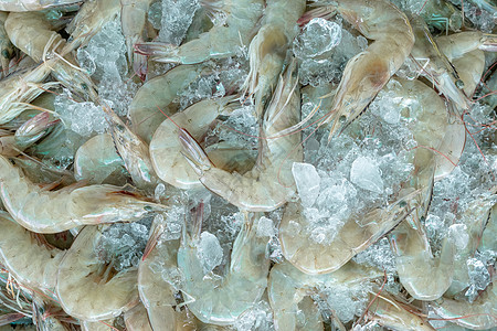 海白虾碎冰上的新鲜白虾在市场上出售 在海鲜餐厅烹饪的生虾 海鲜行业 贝类动物 虾市场 未煮熟的大虾 冷冻食品厂的虾老虎贸易杂货店加工甲背景