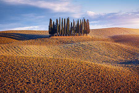 Orcia 在黄金时段 在意大利托斯卡纳的意大利山丘上 拥有美丽温暖的光线和云彩 一组意大利柏树称为Orcia土地团体风光风景农图片