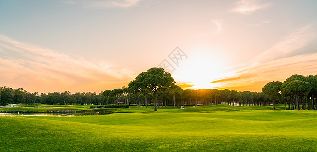 日落时高尔夫球场的景色全景和美丽的天空 高尔夫美景与松树高尔夫球晴天课程蓝色火鸡球场俱乐部活动游戏娱乐图片