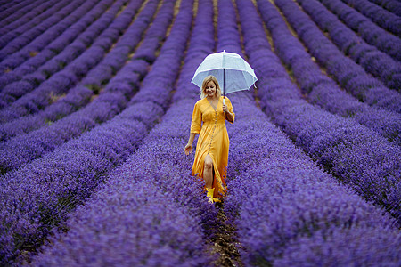 在一个雨天的雨伞下走来走去 享受芳香疗法 阿洛玛治疗概念 熏衣油 用紫色涂层照相会等热情阳光女孩女士幸福植物晴天裙子日落放松图片